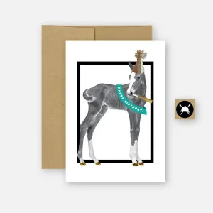 Hunt Seat Paper Co. - Happy Birthday Equestrian Horse Greeting Card