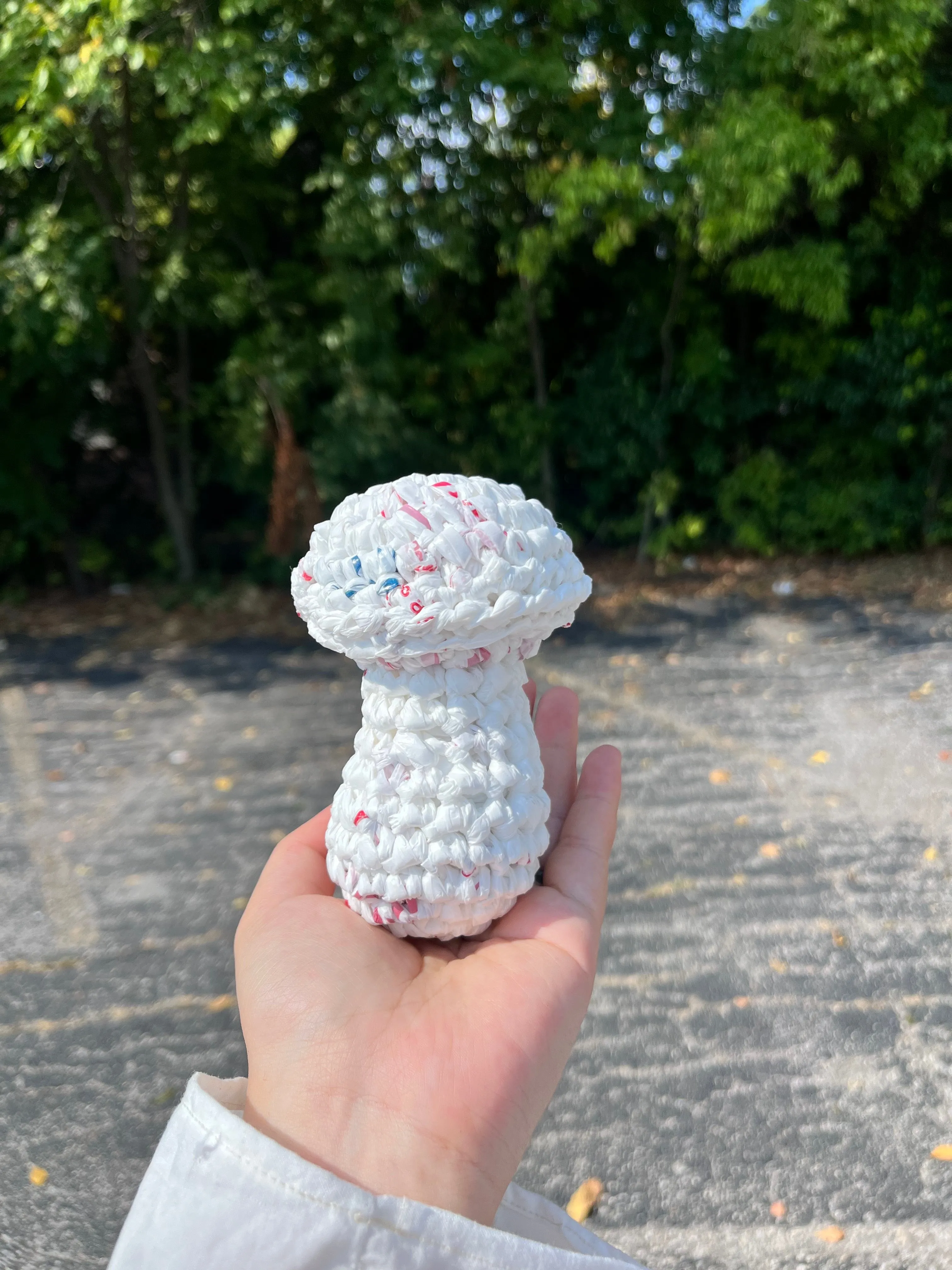 Large Mushroom Plashies