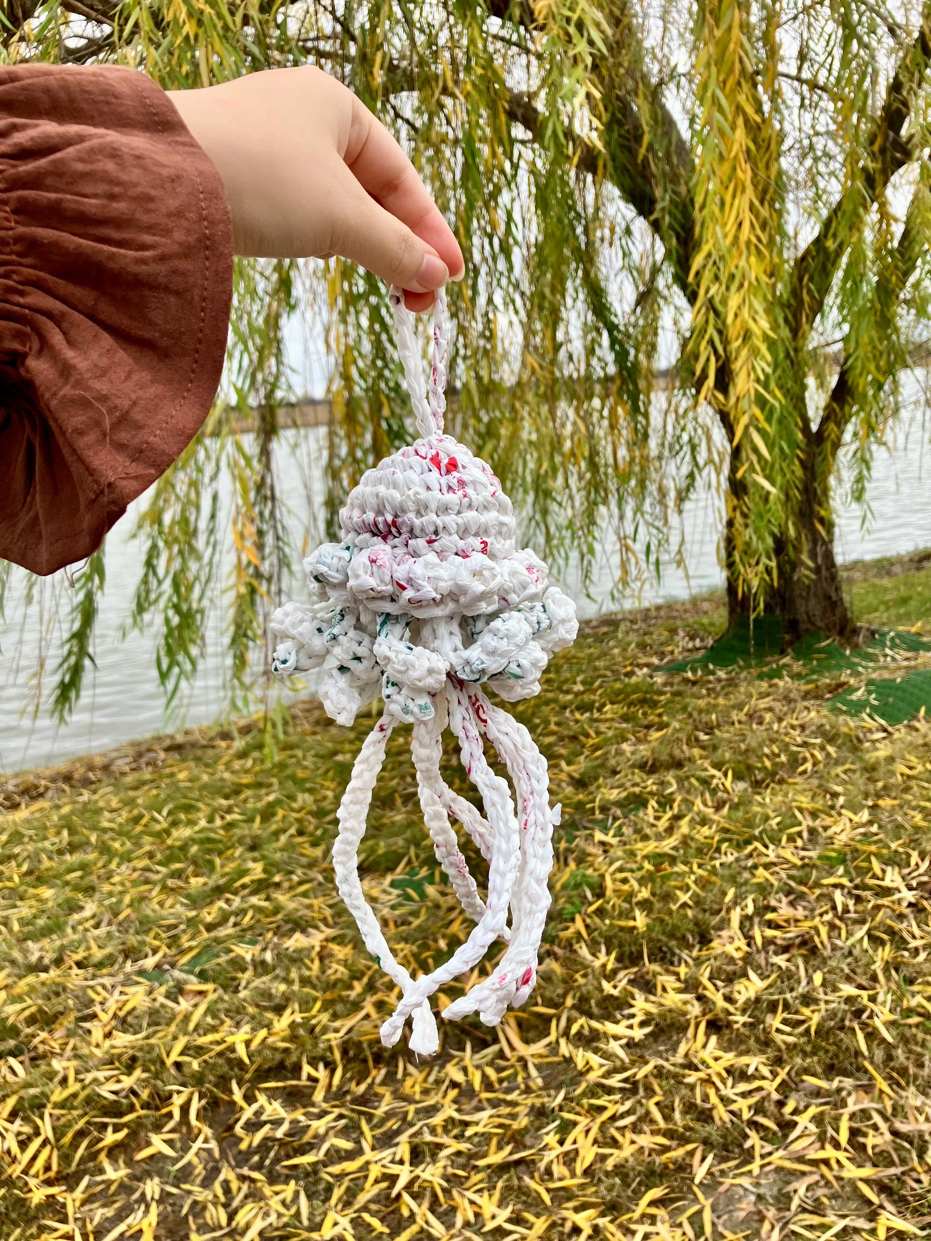 Small Jellyfish Plashies
