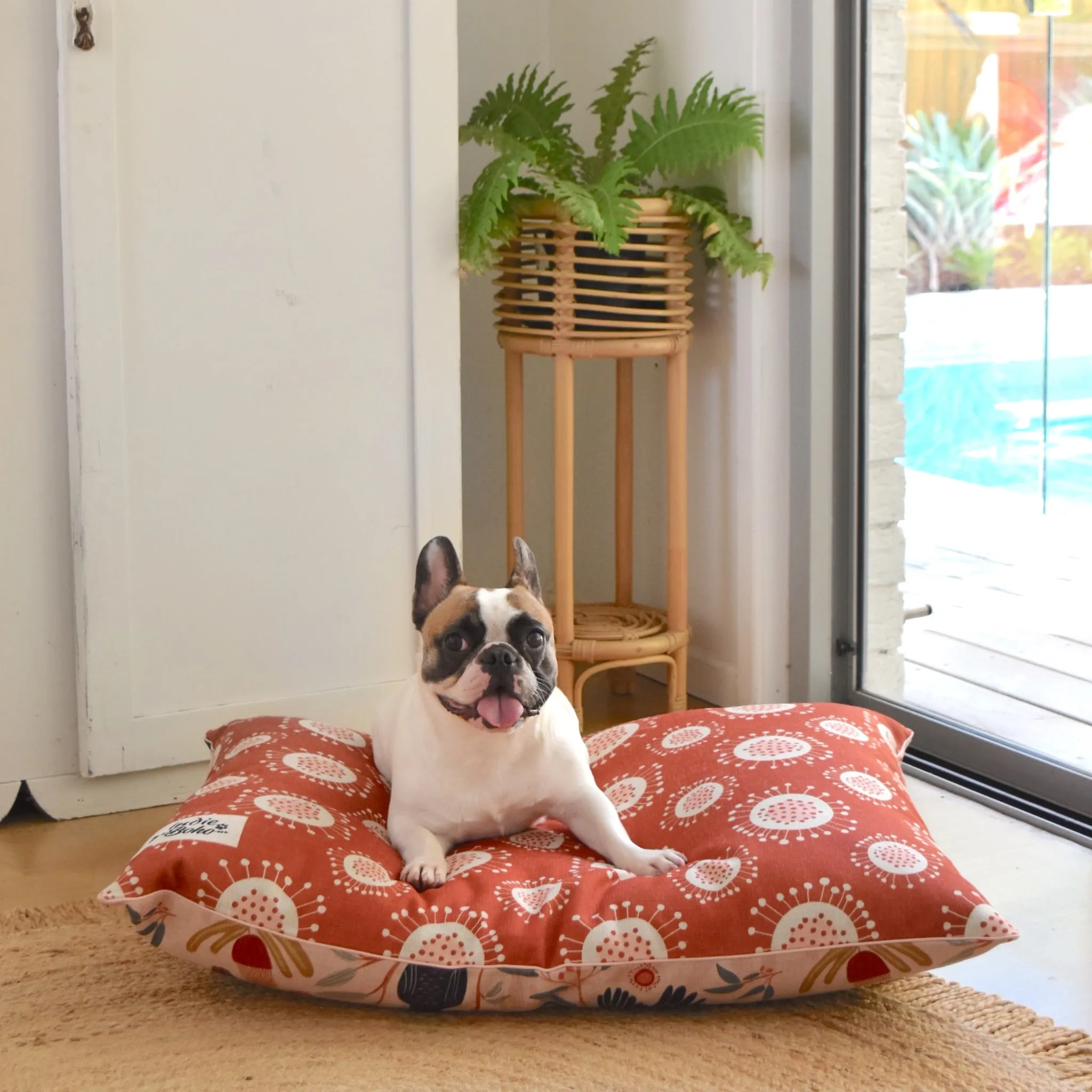 Sunset Cockatoo – LARGE Dog Bed