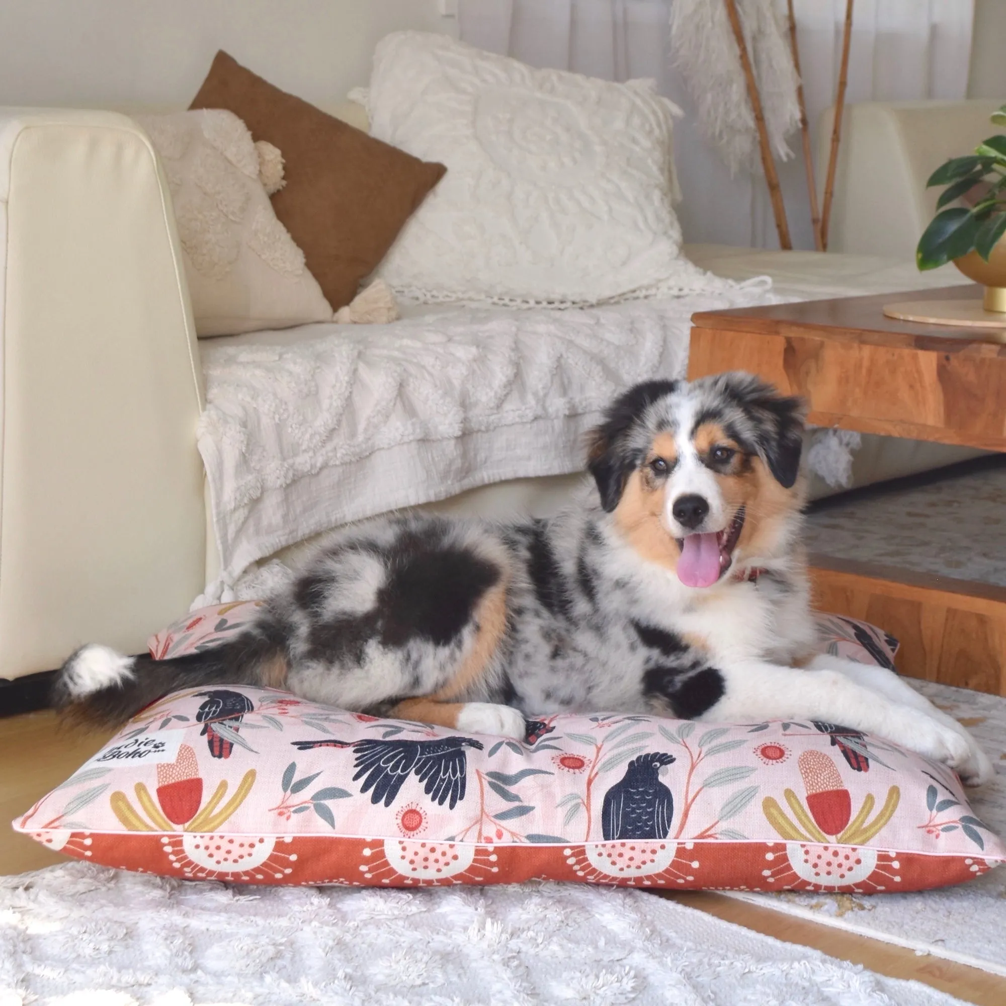 Sunset Cockatoo – LARGE Dog Bed